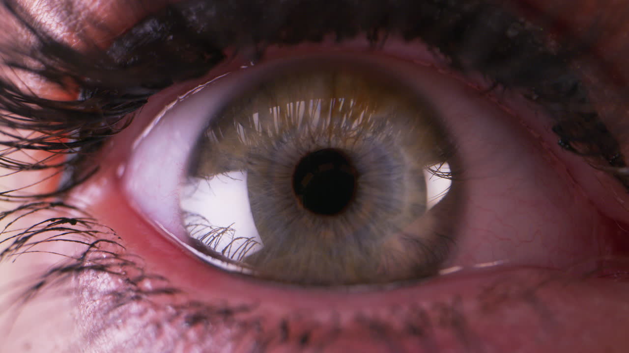 крупный план человеческого глаза