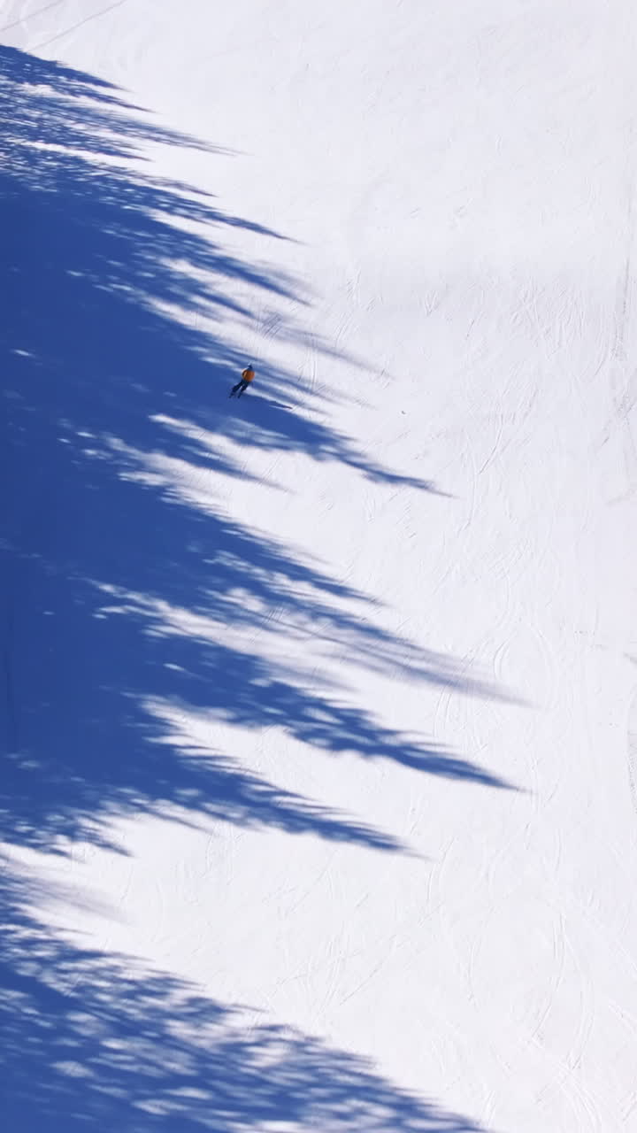 Vista aerea da drone di una stazione sciistica a Piani di Pezze, Alleghe, provincia di Belluno, nelle Dolomiti, Italia, alla luce del giorno. Verticale