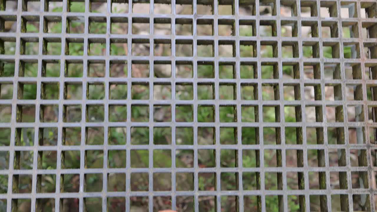 A person walks across a metal suspension bridge over lush greenery, capturing the rhythmic movement of feet