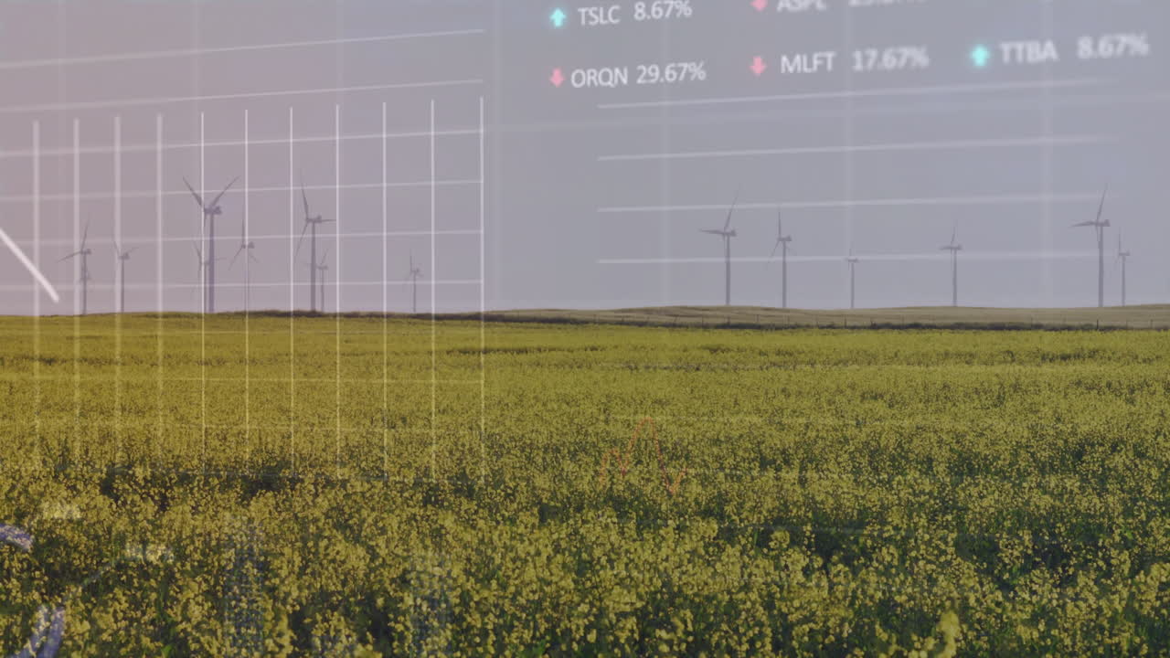 Wind turbines in yellow field with stock market data animation overlay