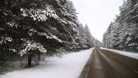 Der-Schuss-Der-Schneebedeckten-Kiefernwaldlandschaft-Nahe-Der-Asphaltstraße-Im-Winter