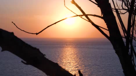 Beautiful-pink-and-orange-coloured-sunset-reflecting-over-calm-placid-Indo-Pacific-ocean,-glimpse-through-trees-in-tropical-island-destination