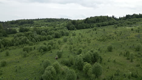 atv riding through a forest meadow