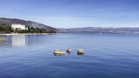 seagulls and a crane resting on boulders on sea shore with town in distance, opatija, croatia