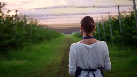 farmer woman walking inspecting crop produce in summer orchard plantation house.