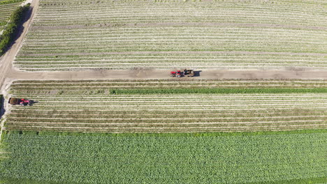 Plowing-the-fields