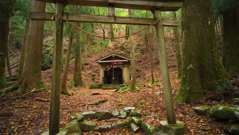 아래로 기울이기, 숲 사이의 신사와 문, 쿠마노 코도 일본