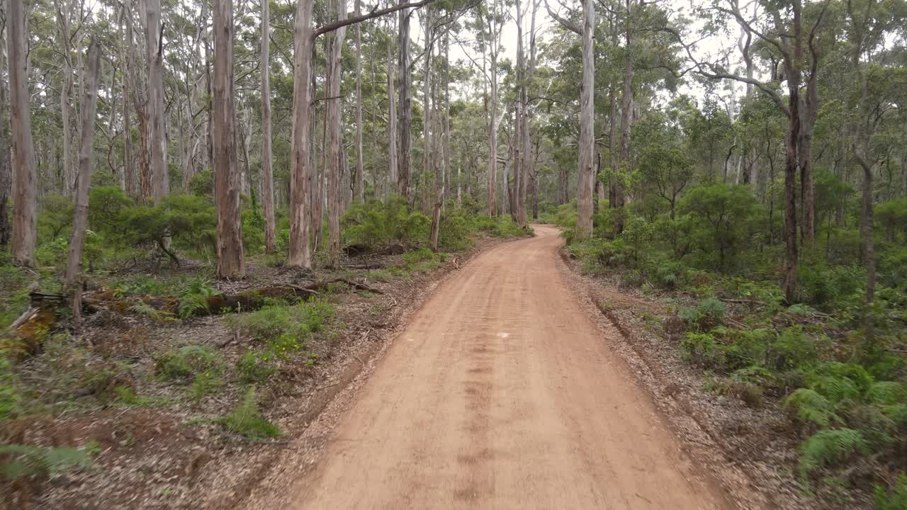 cámara avanzando en un camino rural con árboles al costado del bosque boranup