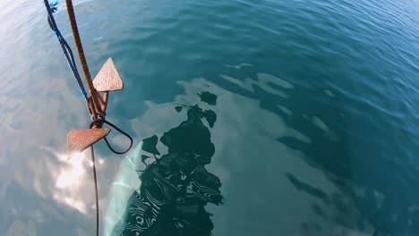 Delfinschwimmen-Unter-Boot