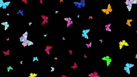 multicolored polygonal butterflies rotate on a black background. animation of movement of the drawn butterflies. zoom in and out motion animation. horizontal composition, 4k video quality