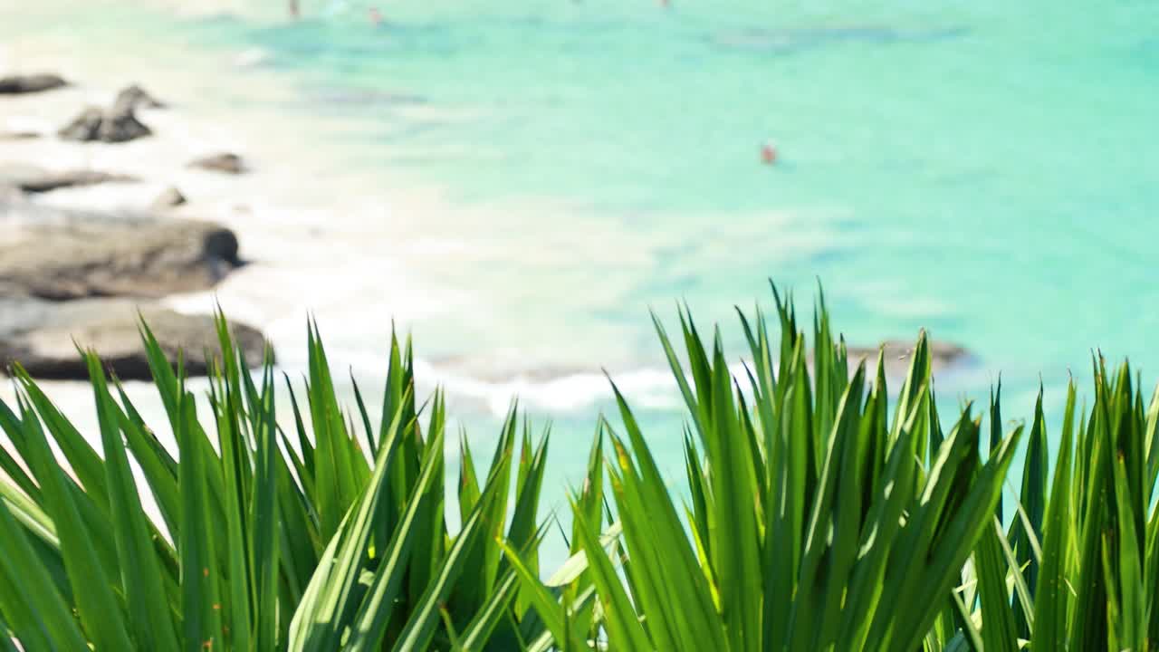 Static shot of turquoise sea, sandy beach, and swimmers framed by lush tropical leaves, daylight