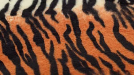 tiger fur fabric close-up. animal print background, striped wool textile. symbol of year 2022. handmade, fashion design and tailoring concept