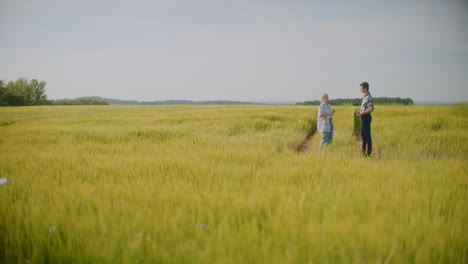 farmers discussing in a wheat field