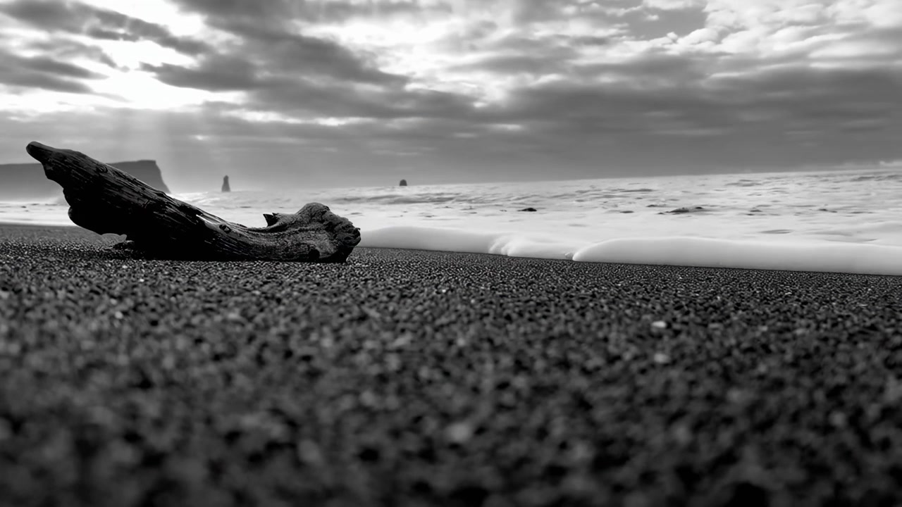 Gelombang Laut Monokrom Perlahan Bergulir ke Pantai Berpasir dengan Kayu Apung