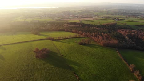 aerial over woodbury common bathed in golden warm sunset light. dolly forward