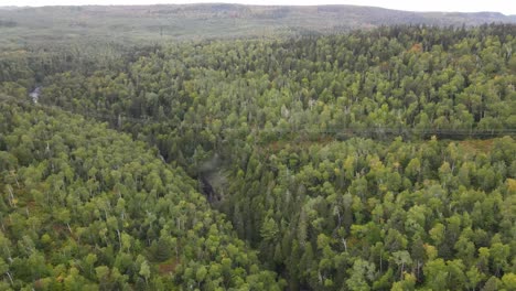 bosque nacional superior en el norte de minnesota vista aérea