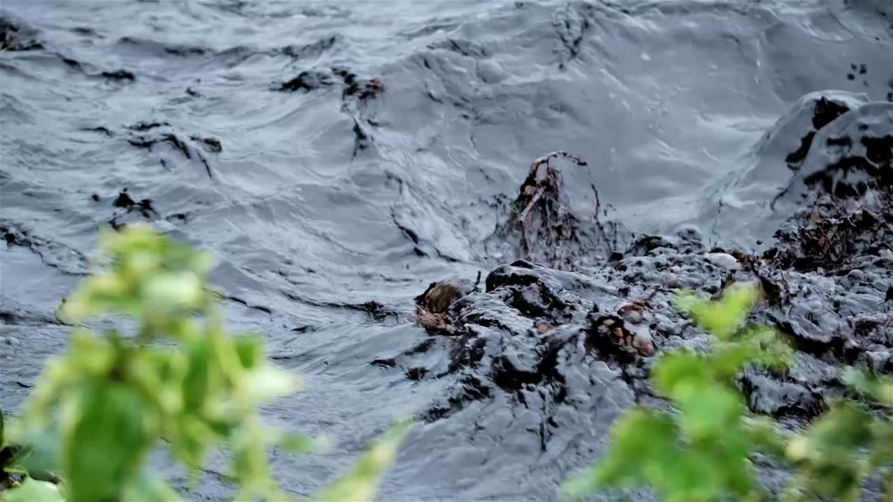 앞면 에 잎자루 가 있는 폭풍 후 흐르는 강 에 있는 검은 물