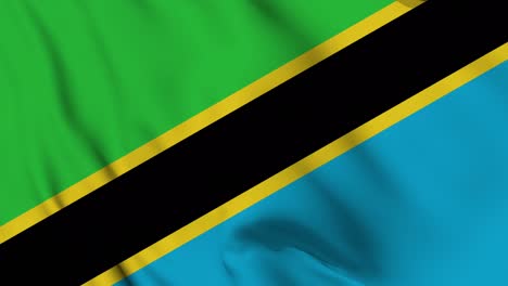 tanzania flag seamless waving animation