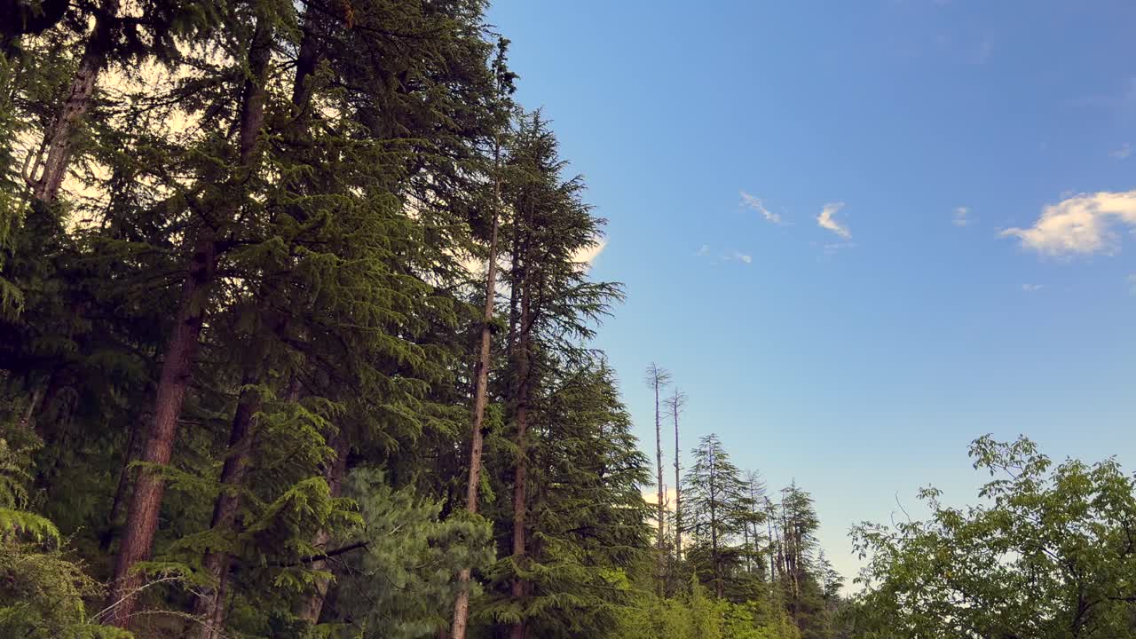 Beauty of Rural India and farmers land, Nature beauty, Hills, Green Fields with Village Life in Forest area and Timeless Travel Escapes