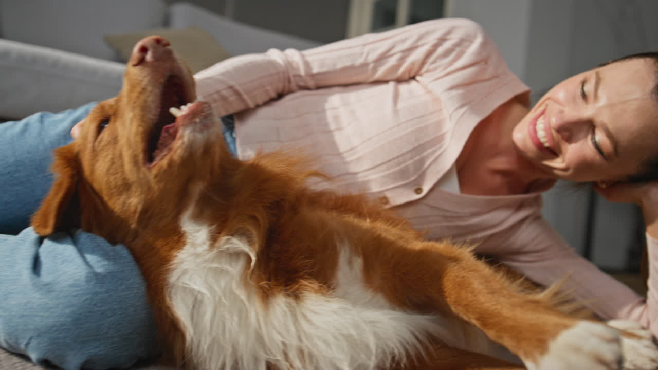 Happy owner lying dog at apartment floor enjoying weekend leisure close up.