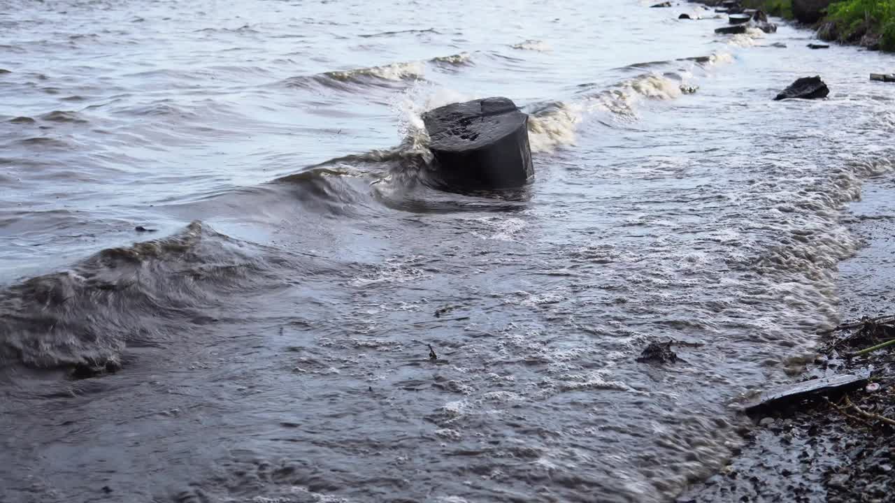 파도가 저수지 연안의 나무를 고 있습니다.