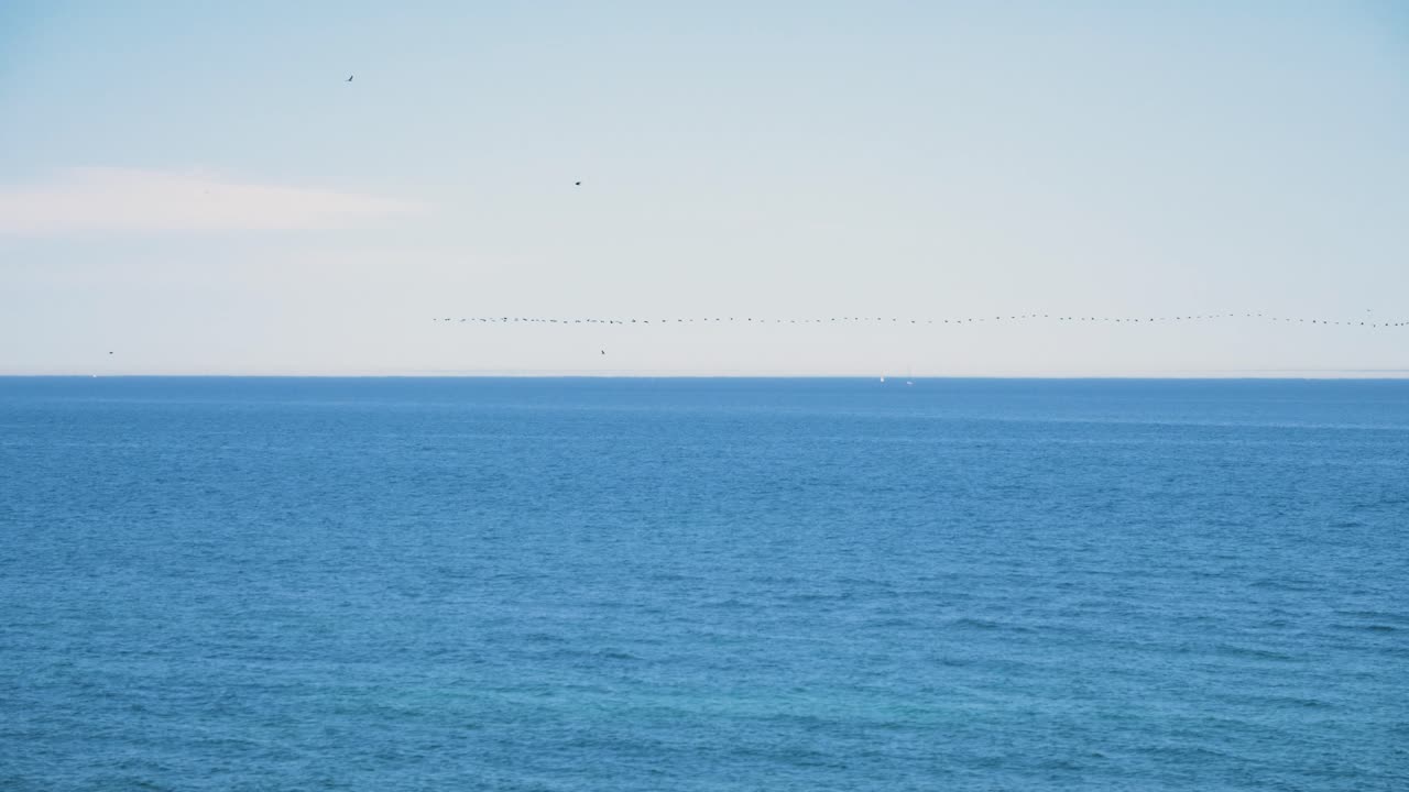 파란색 - 조용한 바다 풍경과 함께 새들이 줄지어 날아다니고 있습니다.