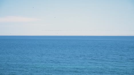 Ein-Blau-ruhiger-Meerblick-Mit-Vögeln,-Die-In-Einer-Reihe-Fliegen