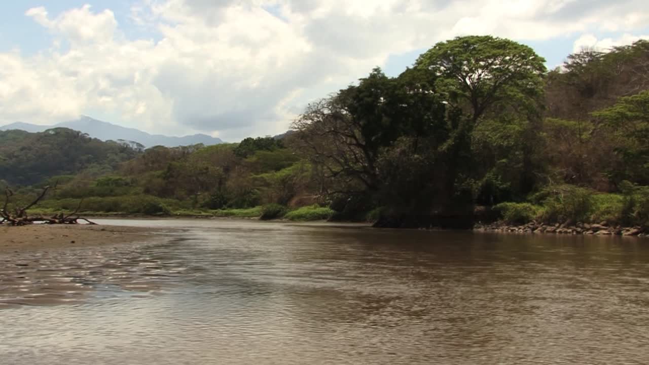 río tarcoles en costa rica y la selva tropical circundante y las montañas en el fondo