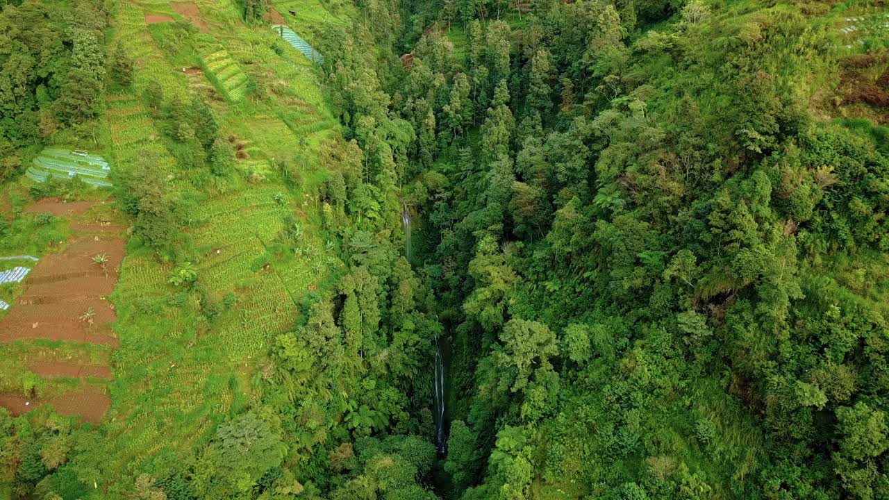 imágenes aéreas del valle en la montaña tropical con cascada escondida - pendiente de la montaña sumbing, indonesia