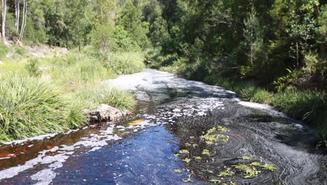 the small weir along the knysna river with water slowly flowing over it towards the downstream valley during summer