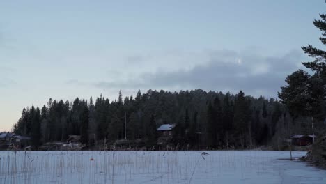 Bosque-De-Pinos-Con-Un-Pueblo-Idílico-Durante-El-Invierno-En-Trondheim-En-Noruega