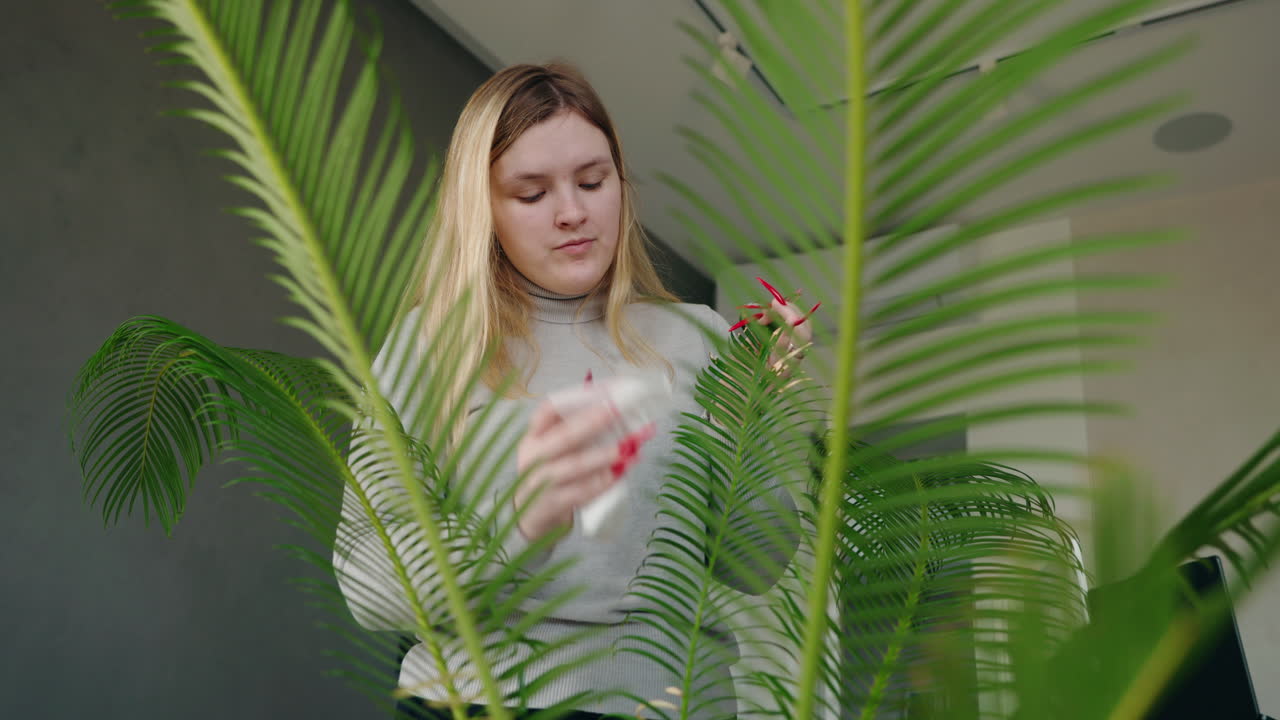 Woman Cleaning a Palm Tree