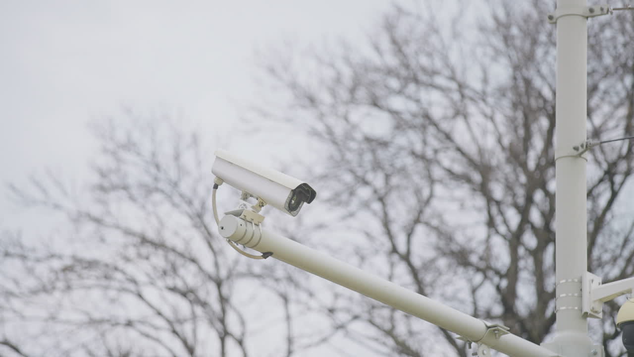 Camera di sicurezza su un palo