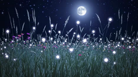 magical night meadow under moonlight