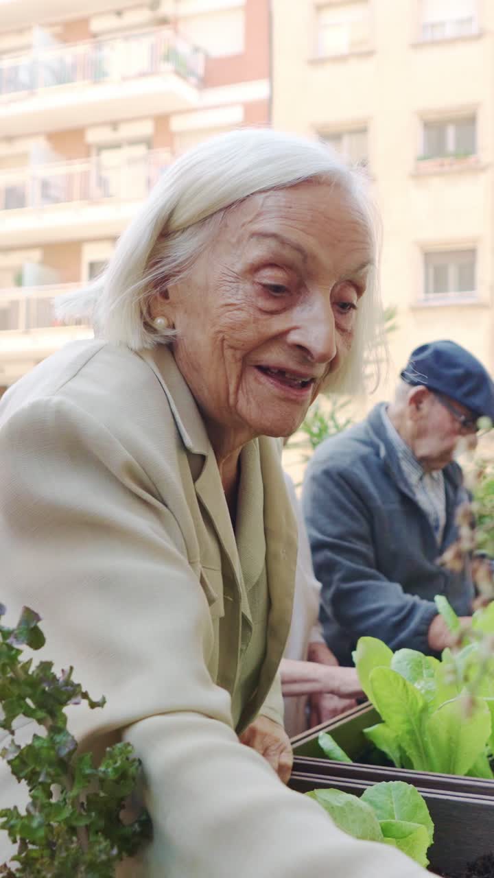 Elderly people gardening in a community garden