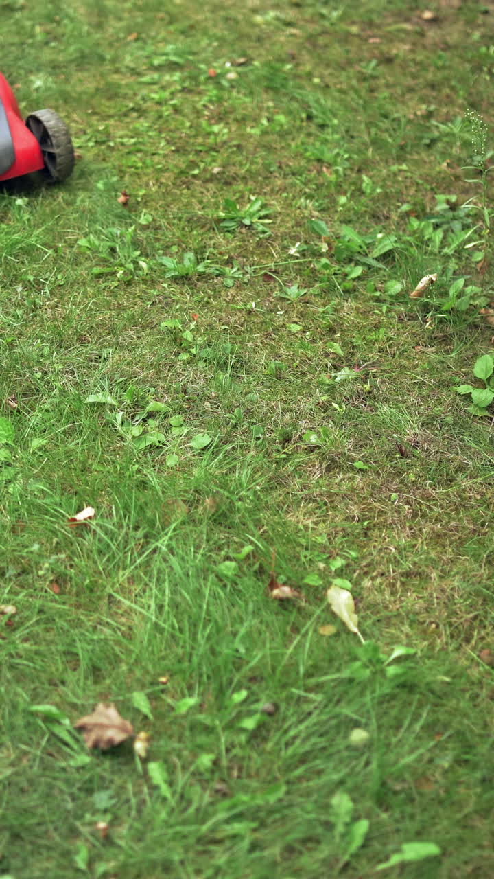 Lawn mower is cutting grass in the backyard. Modern machine mowing grass outdoors. Gardening activity. Vertical video