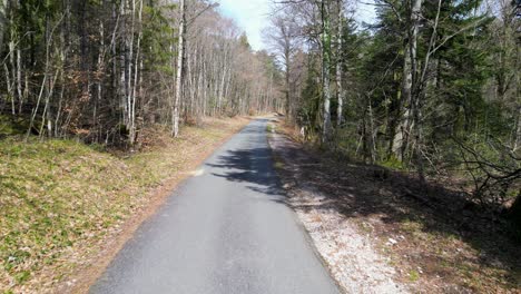 a drone flies backward at eye level along a forest road