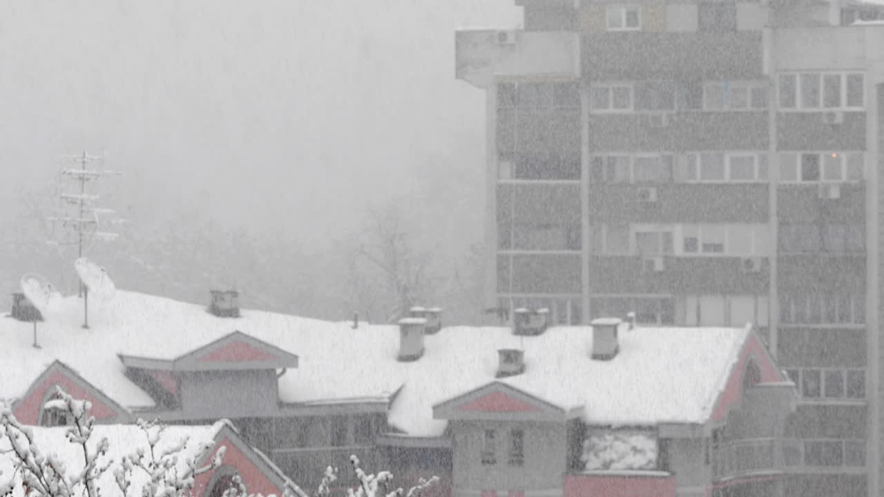 베오그라드, 세르비아의 도시에서 눈이 내렸습니다.