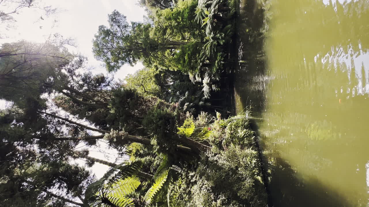 del jardín vertical de terra nostra aguas termales islas azores portugal sao miguel