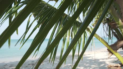 view of white sandy beach and tropical ocean through coconut palm tree leaf's