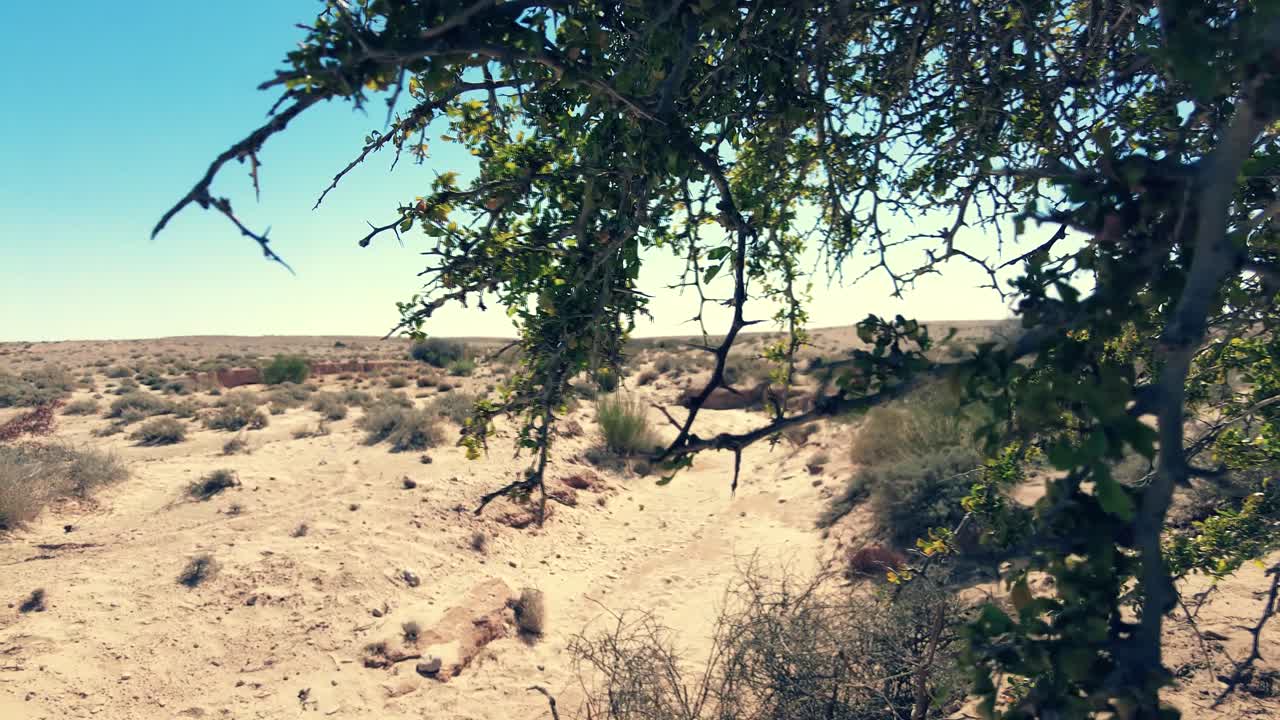 paisaje árido en el sahara de biskra argelia