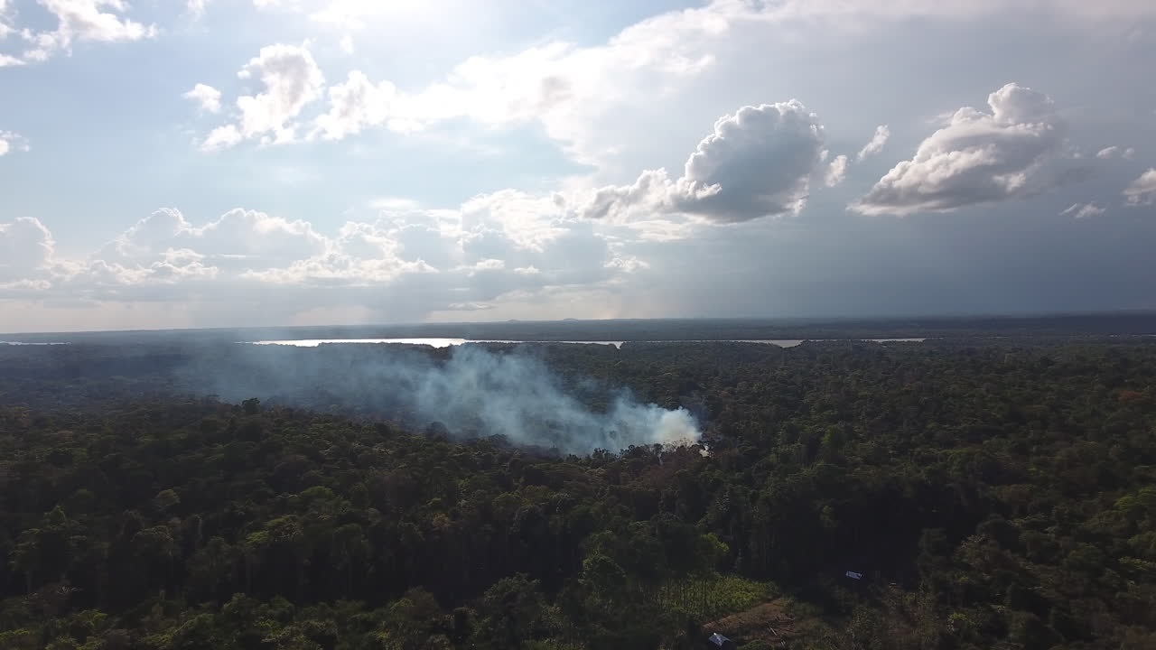agricultura dramática de corte y quema en guyana, bosque amazónico. fuego aéreo