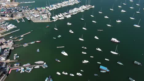 Hundreds-of-small-Boats-in-Hong-Kong-marina,-Tilt-down-Aerial-view