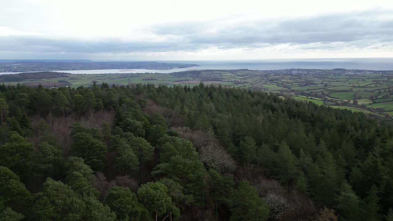 맘헤드 삼림 공원을 가로질러 나무에 자리잡은 맘헤드 오벨리스크와 그 너머 숲 정리