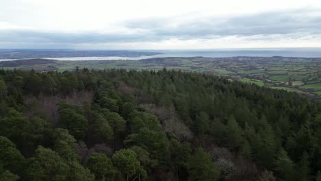aerial drone flight over mamhead forest park toward the river exe and exmouth, devon, england, including mamhead obelisk nestled in the trees and forest clearance beyond