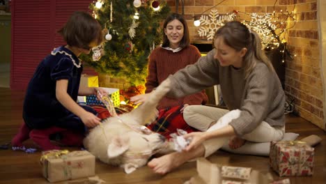 Mother-and-daughters-playing-with-golden-retriever-on-the-floor-on-christmas-eve,-slow-motion