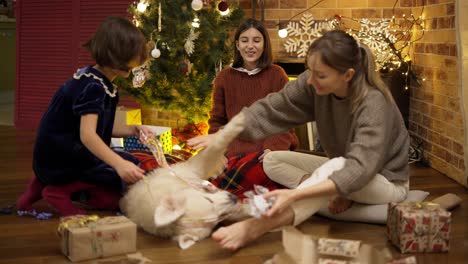 mother and daughters playing with golden retriever on the floor on christmas eve, slow motion