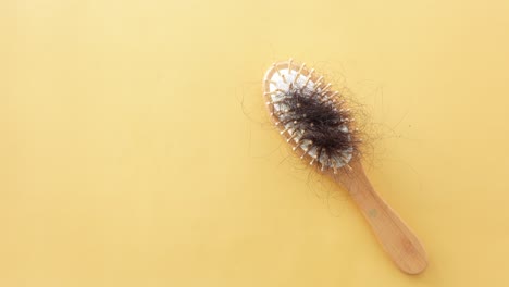 hair loss: a close up of a hairbrush with hair