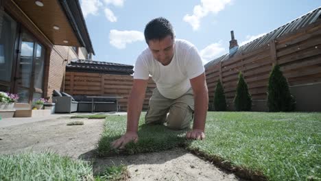 roll of new natural grass turf installed by professional gardener. landscaping industry.