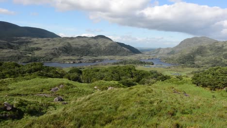 Mountain-Landscape-with-Grass-Blowing-In-Wind-and-Lake